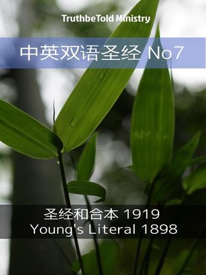 cover image of 中英双语圣经 No7
